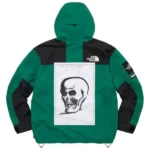 The North Face Mountain Green Jacket