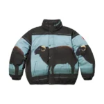 Supreme Damien Hirst Down Jacket